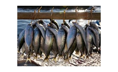 Fatty Acids in Fish May Shield Brain from Mercury Damage