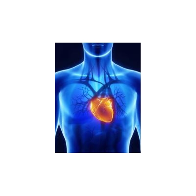 $2.5 Million Grant Funds Research on Preventing  Damage from Heart Attack
