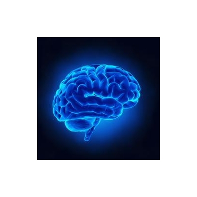 URMC Start-up Takes Aim at Memory and Cognitive Problems