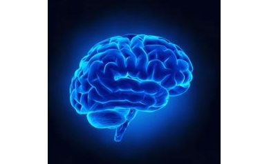 URMC Start-up Takes Aim at Memory and Cognitive Problems