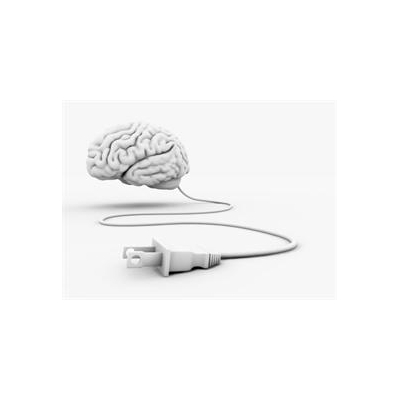 Study Sheds New Light on Brain’s Source of Power