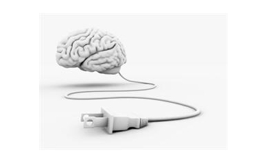 Study Sheds New Light on Brain’s Source of Power