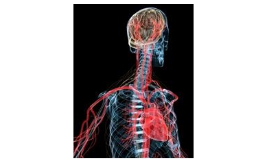 Understanding the ‘Enemy Within’ that Causes Brain Damage after Cardiac Arrest