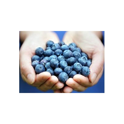Improving Antioxidant Therapy: Using Light to  Separate the Good from the Bad