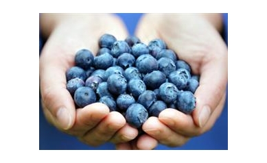 Improving Antioxidant Therapy: Using Light to  Separate the Good from the Bad