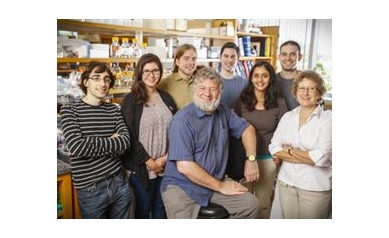 Wilmot Cancer Institute’s Research Director Wins $6.3M Outstanding Investigator Award