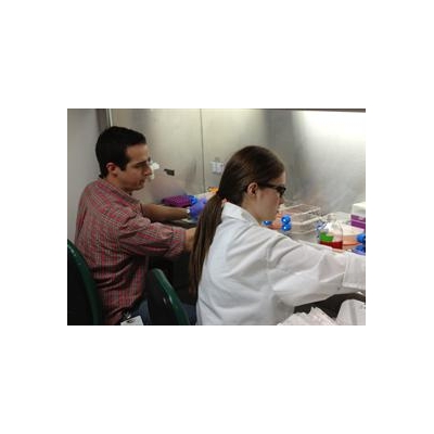 URMC’s Center for Musculoskeletal Research Has Banner Year for NIH Funding
