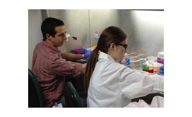 URMC’s Center for Musculoskeletal Research Has Banner Year for NIH Funding