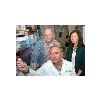 UR Scientist Wins Novo Nordisk Award to Develop Obesity Drug