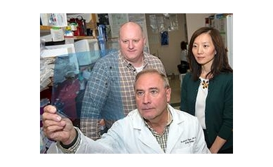 UR Scientist Wins Novo Nordisk Award to Develop Obesity Drug