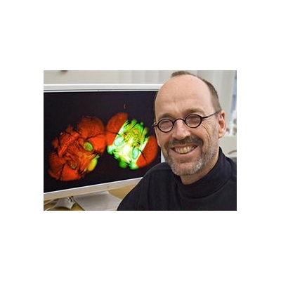 Dirk Bohmann to Lead Basic Science Research at URMC