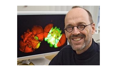 Dirk Bohmann to Lead Basic Science Research at URMC