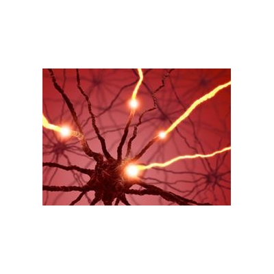Study Details Source of Mental Problems Associated with MS