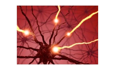 Study Details Source of Mental Problems Associated with MS