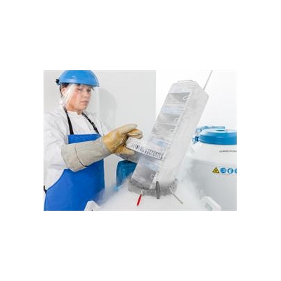 URMC Partners with Private Company to Create Tissue Bank for Cancer Research