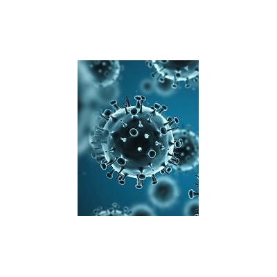 Visitor Restrictions Aim to Stop Flu's Spread
