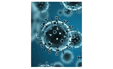 Visitor Restrictions Aim to Stop Flu's Spread