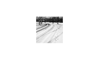 Updates on Livingston County vehicle accident