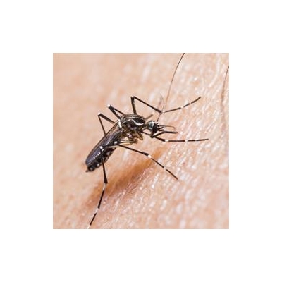 Community Talk on Zika Virus Features Infectious Disease Expert from Brazil