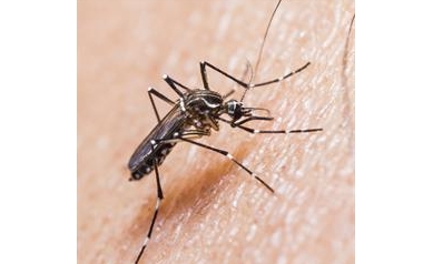 Community Talk on Zika Virus Features Infectious Disease Expert from Brazil