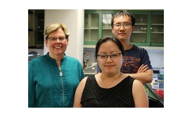 URMC Team Revises Understanding of Genetic Code