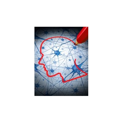 Study: Autism Brain Response Theory a Dead End