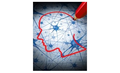 Study: Autism Brain Response Theory a Dead End