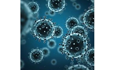UR Medicine Restrictions Begin Due to Flu
