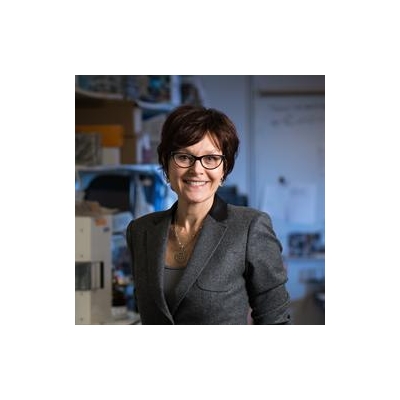 Maquat Receives Lifetime Achievement Award in Science from International RNA Society