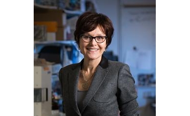 Maquat Receives Lifetime Achievement Award in Science from International RNA Society