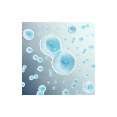 Study: A New Way to Slow Cancer Cell Growth