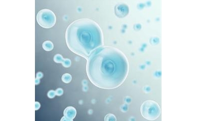 Study: A New Way to Slow Cancer Cell Growth