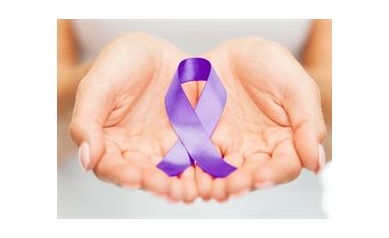 HEAL Program Marks First Successful Year