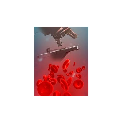 Wilmot Scientists Reap Awards, Presentations at Hematology Meeting