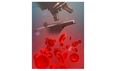 Wilmot Scientists Reap Awards, Presentations at Hematology Meeting
