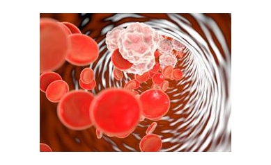 Lungs Mays Hold Key to Thwarting Brain Damage after a Stroke