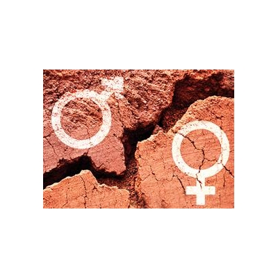 Biological Sex Tweaks Nervous System Networks, Plays Role in Shaping Behavior