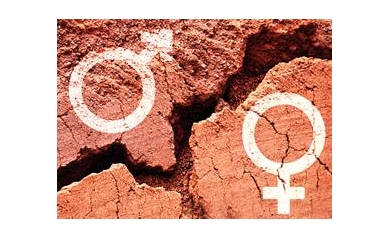 Biological Sex Tweaks Nervous System Networks, Plays Role in Shaping Behavior