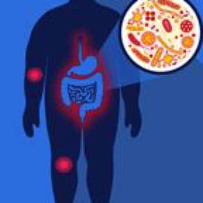 The Bugs in Your Gut Could Make You Weak in the Knees