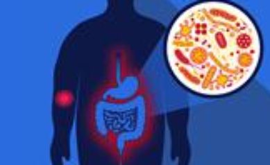 The Bugs in Your Gut Could Make You Weak in the Knees