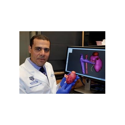 Practice Makes Perfect -- Fake Organs Guide the Way for 'Impossible' Cancer Surgery