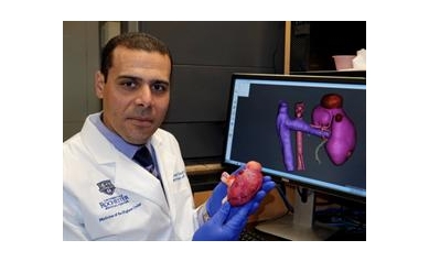 Practice Makes Perfect -- Fake Organs Guide the Way for 'Impossible' Cancer Surgery
