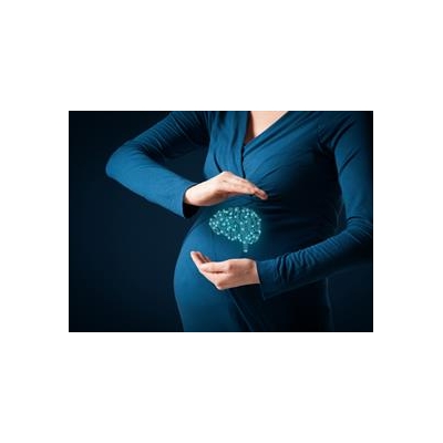 New Research Seeks to Understand Link Between Iron and Brain Development