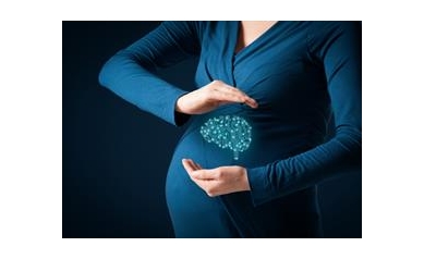 New Research Seeks to Understand Link Between Iron and Brain Development
