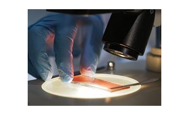 Researchers Aim to Keep Blood Healthier, Less Prone to Cancer
