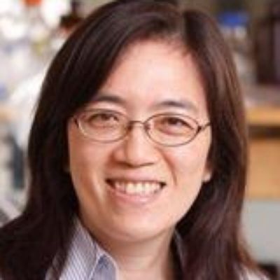 Wilmot Scientist Meets Urgent Need in Bladder Cancer with New Tool