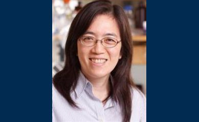 Wilmot Scientist Meets Urgent Need in Bladder Cancer with New Tool