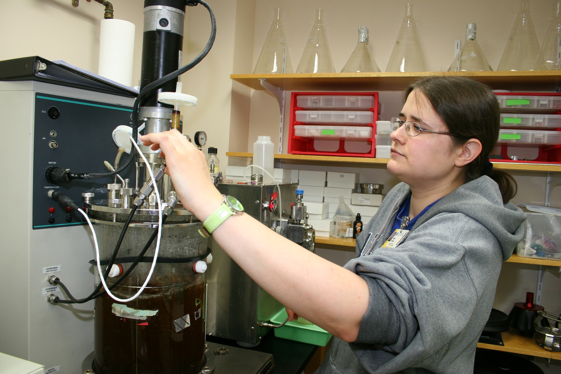 Nadia Fedoriw, a technician in Dumont’s lab, grows yeast used for protein production.