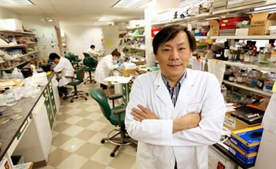 Prostate Cancer Researchers Find Molecular “Switch” to Prolong Survival