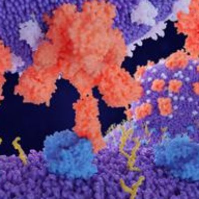 Coronavirus Research Focuses on RNA as Key to Developing New Treatments